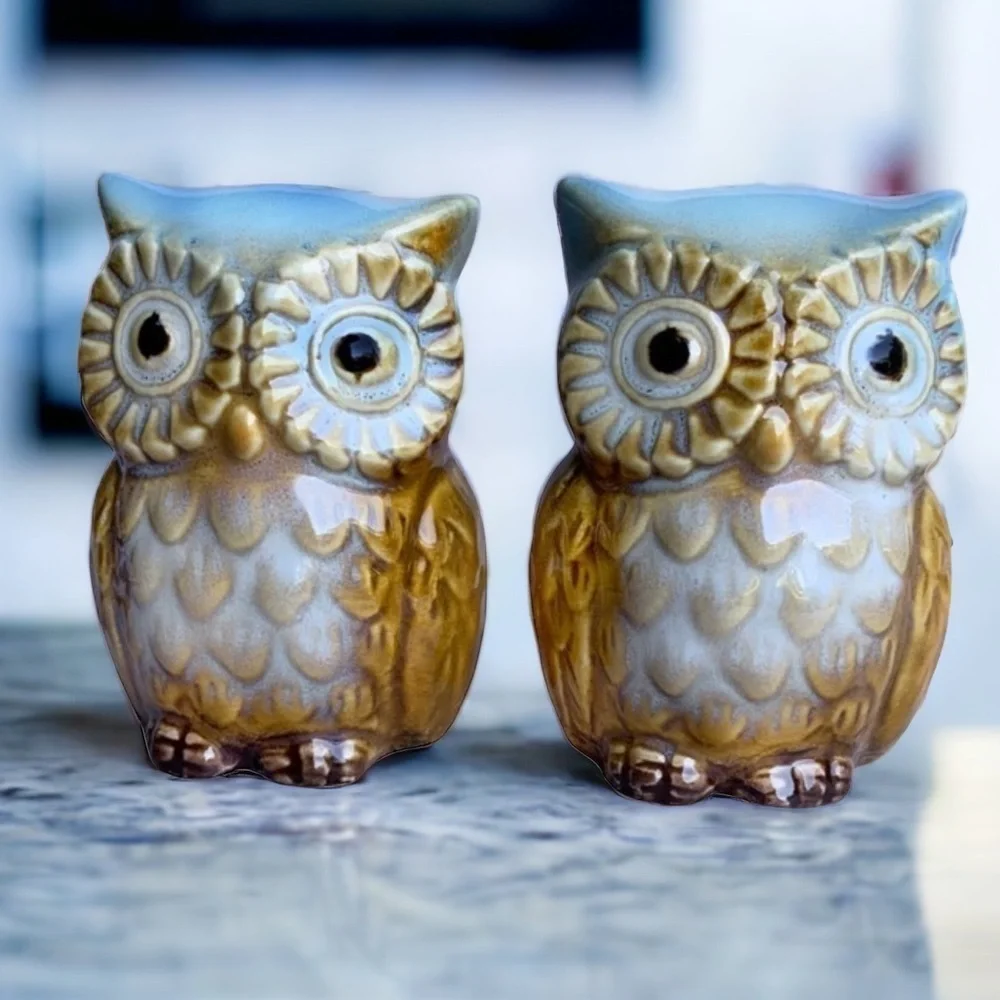 Owl Salt and Pepper Shaker Set Glazed Ceramic Hand Painted Owl Decor 2 Piece Set